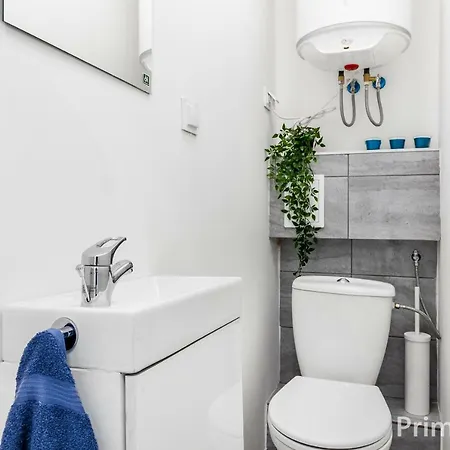 Prime Centrum 1 Проживание в семье